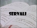 Thundercats Fan Fiction