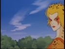 Cheetara