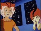 Wily Kit and Wily Kat