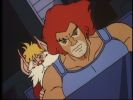 ThunderCats