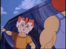 Wily Kit and Wily Kat