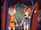 Wily Kit and Wily Kat