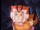 Wily Kit and Wily Kat