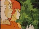 Wily Kit and Wily Kat