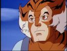 click to download zip file ThunderCats Music Video: Tygra Tribute