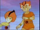 Wily Kit and Wily Kat