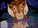 'We're high above but on the floor' ThunderCats Music Video: Tygra Tribute