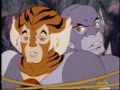 ThunderCats