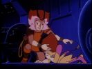 Wily Kit and Wily Kat