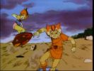 Wily Kit and Wily Kat