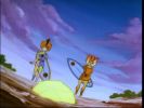 Wily Kit and Wily Kat