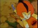 Wily Kit and Wily Kat