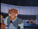 Tygra