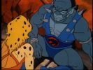 ThunderCats