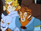 ThunderCats