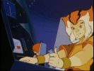 Wily Kit and Wily Kat
