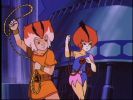 Wily Kit and Wily Kat