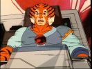 Tygra