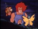 ThunderCats