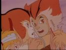 Wily Kit and Wily Kat