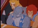 ThunderCats