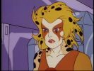 Cheetara
