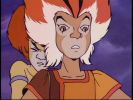 Wily Kit and Wily Kat