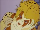 Cheetara