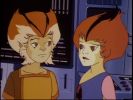 Wily Kit and Wily Kat