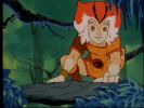 Wily Kit and Wily Kat