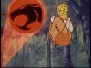 Cheetara