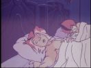 Wily Kit and Wily Kat