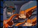 Wily Kit and Wily Kat