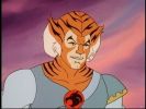 Tygra