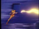 Cheetara