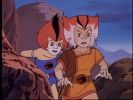 Wily Kit and Wily Kat