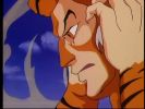 Tygra uses his gift of mind power to create powerful mirages Lion-O must fight to overcome.