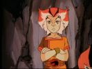 Wily Kit and Wily Kat