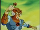 Tygra